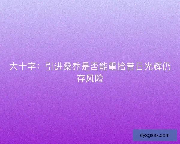 大十字:引进桑乔是否能重拾昔日光辉仍存风险 大十字:引进桑乔是否能重拾昔日光辉仍存风险