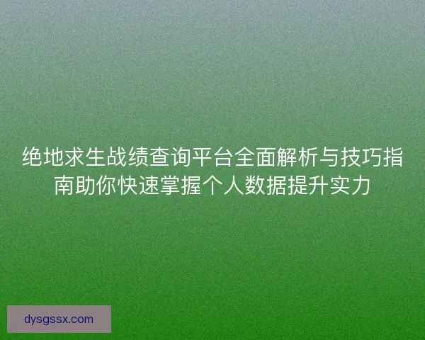 绝地求生战绩查询平台全面解析与技巧指南助你快速掌握个人数据提升实力