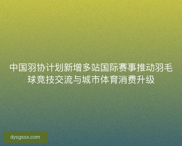 中国羽协计划新增多站国际赛事推动羽毛球竞技交流与城市体育消费升级